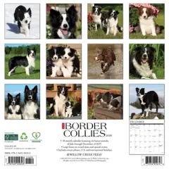 Willow Creek Press 2026 Border Collies Wall Calendar