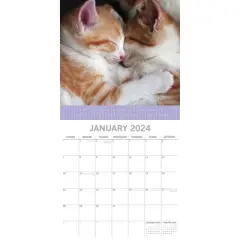 The Gifted Stationery 2024 Square Wall Calendar, Hugs, 16-Month My Cute Range Theme with 180 Reminder Stickers (12x12 In)