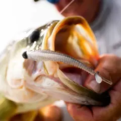 Rapala CrushCity Mooch Minnow 3.5"