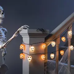 20ct LED Battery Operated Skull Halloween Indoor Outdoor Novelty String Lights Black/White/Orange - Hyde and EEK! Boutique&trade;