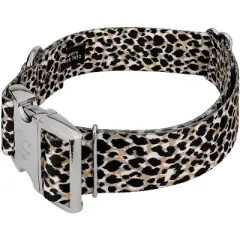 Country Brook Petz HossFit Jr Wide Premium  Dog Collar - Animal Print Collection