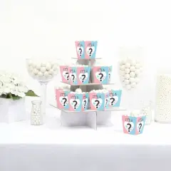 Big Dot of Happiness Baby Gender Reveal - Party Mini Favor Boxes - Team Boy or Girl Party Treat Candy Boxes - Set of 12