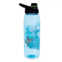 Silver Buffalo Disney Robin Hood "What A Good Day" Water Bottle with Lid | Holds 28 Ounces