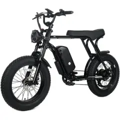 Electric Mountain Bike for Adults, 20" x 4.0 Fat Tire, 1000W Motor with 48V 20Ah Removable Battery