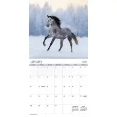 Trends International Inc. 2023-24 Wall Calendar 12"x12" Horses