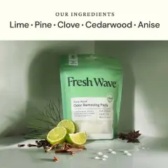 Fresh Wave Odor Removing Packs Original Scent - 6ct