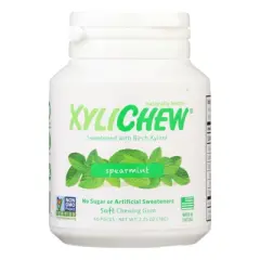 Xylichew Spearmint Soft Chewing Gum - Case of 4/60 ct