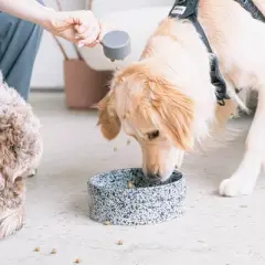 Dexypaws: Ceramic Dog Bowl: Salt & Pepper, 26oz, Pet Feeding Dish