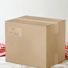 Avery Kraft Brown Rectangle Labels with Sure Feed Technology, 2" x 4", Laser/Inkjet Printable Labels, 250 Total (5784)