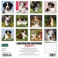 Willow Creek Press 2024 Wall Calendar 12"x12" Just Australian Shepard Puppies