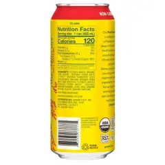 Guayaki Yerba Mate Revel Berry - 15.5 fl oz Can