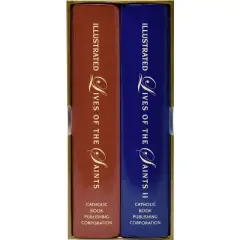 Illustrated Lives of the Saints Boxed Set - by  H Hoever (Hardcover)