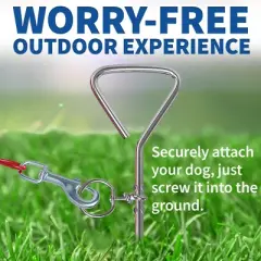 MeasuPro Chrome Dog Stake &ndash; Heavy-Duty Stainless Steel Tie-Out for Dogs of All Sizes