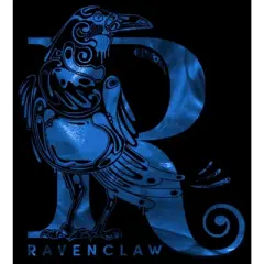 Boy's Harry Potter Ravenclaw R Logo T-Shirt