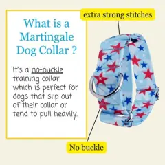 Country Brook Petz HossFit Jr Wide Martingale Dog Collar - Americana Collection