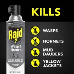 Raid Wasp and Hornet Bug Spray &ndash; Two Units 14oz each​