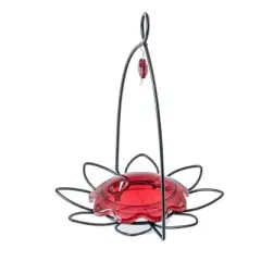 Birds Choice Hummingbird Flower Feeder: Weather-Resistant, Nectar Guard, Easy Fill & Clean, 3 oz. Capacity