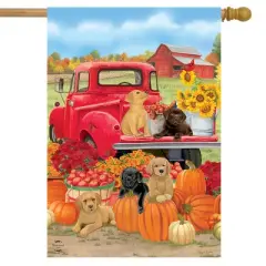 Fall Puppies House Flag Red Pickup Dogs Labs 28" x 40" Briarwood Lane