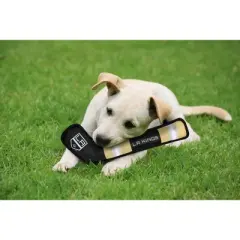 NHL Los Angeles Kings Hockey Stick Toy