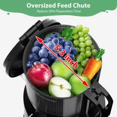 Ecoself Cold Press Juicer &ndash; 5.3" Large Feed Chute, 1.7L Capacity, Slow Masticating Juicer for Maximum Nutrients, Easy to Clean Juicer Machine Grey