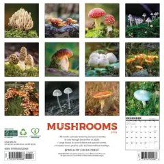 Willow Creek Press 2026 Mushrooms Wall Calendar