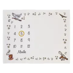 NoJo Warner Bros. Harry Potter Magical Moments White and Gold Milestone Baby Blanket