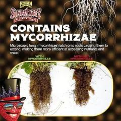 FoxFarm Strawberry Fields Fruiting & Flowering Potting Soil, 1.5cu ft