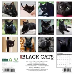 Willow Creek Press 2026 Black Cats Wall Calendar