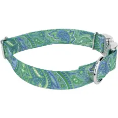 Country Brook Petz Premium Green Paisley Dog Collar