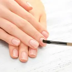 Unique Bargains Double Head Nail Painting Brushes for Polish Painting Home DIY Clear Brown 1 Pc