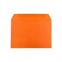 JAM Paper Booklet Envelope 9" x 12" Orange 250/Box (5156772H)