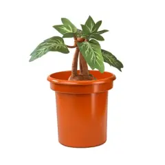 Harry Potter Electronic Mandrake Plush