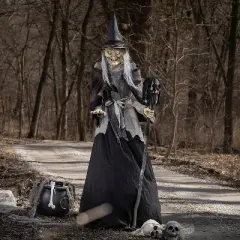 Seasonal Visions Animated Lunging Haggard Witch Halloween Decoration - 6 ft - Black