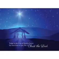 CEO Cards Christmas Greeting Card Box Set of 25 Cards & 26 Envelopes - H1601