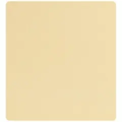 McKesson Foam Dressing, Film Backing, 4 x 4 in