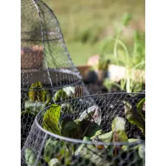 Gardener&rsquo;s Supply Company Sturdy Chicken Wire Cloche Plant Protector Extension | Adds Broader Area Coverage Protection for Tall Plants Vegetables &