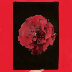 Activity - A Thousand Years in Another Way (Vinyl)