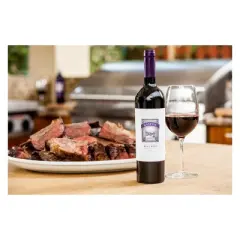 Don Miguel Gascon Argentina Malbec Red Wine - 750ml Bottle