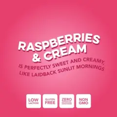 Clean Simple Eats Clear Protein Water Raspberries & Cream - 16 fl oz Can