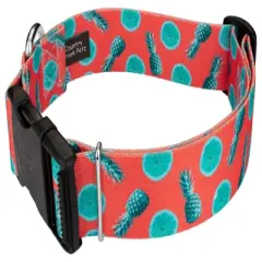 Country Brook Petz 1 1/2 Inch Deluxe Tropical Tango Dog Collar