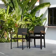 Amazonia 2pc Barbados Outdoor Patio Dining Chairs Arm Chairs Black: Cast Aluminum