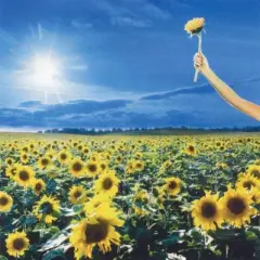 Stone Temple Pilots - Thank You