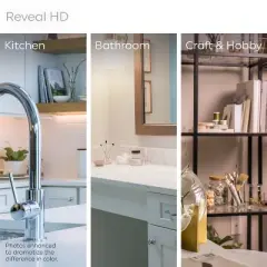 GE 40W A19 Light Bulbs Reveal