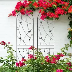 Gulches 4 Pack Metal Garden Trellis 86.7" x 19.7" Rustproof Trellis for Climbing Plants Outdoor Flower Support Butterfly Deco Black