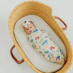 Copper Pearl Knit Swaddle Blanket - Super Heroes DC Comics