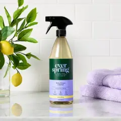 Lemon & Mint Daily Shower Cleaner - 28 fl oz - Everspring&trade;