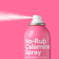 Spray Calamine Lotion - 4.1oz - up&up&trade;