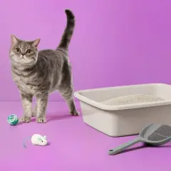 Lightweight Unscented Fragrance Free with Baking Soda Clumping Cat Litter - 7.5lbs - up&up&trade;