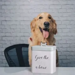 Amici Pet Marley Metal Treats Storage Canister w/ Bone Design Lid, 96 oz. , White Green Black