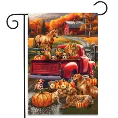 Briarwood Lane Fall Garden Flag 12x18 For Outdoor Fall Puppy Pickup For Fall Garden Flag Flags For Outside